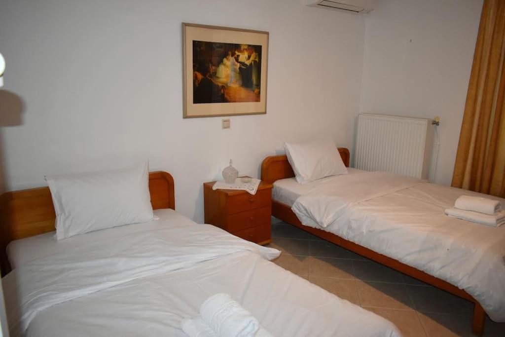 Thalia'S House Apartment Trikala  Ngoại thất bức ảnh