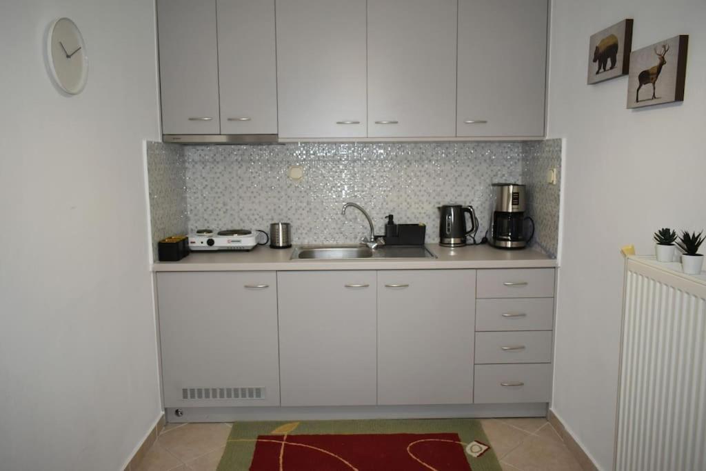 Thalia'S House Apartment Trikala  Ngoại thất bức ảnh