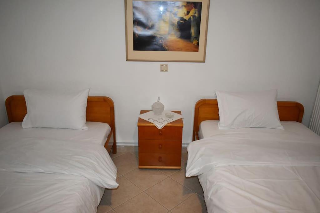 Thalia'S House Apartment Trikala  Ngoại thất bức ảnh