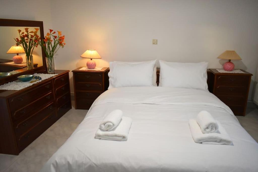 Thalia'S House Apartment Trikala  Ngoại thất bức ảnh